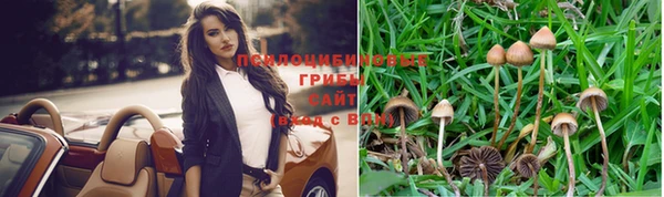 бошки Бронницы