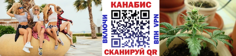 Конопля индика  MEGA ссылки  Красноярск 